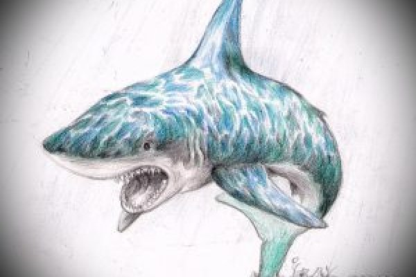 Kraken online