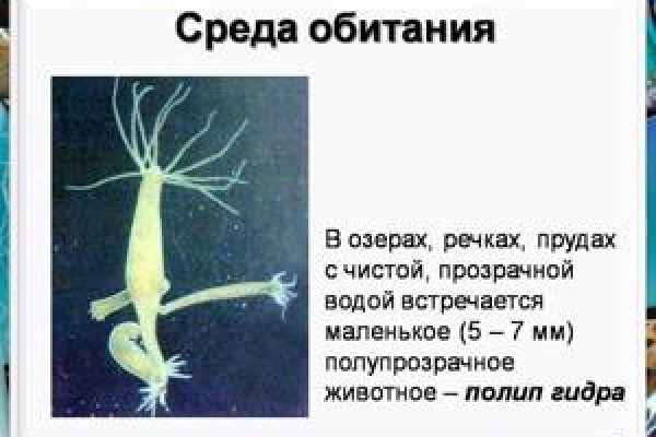 Кракен это даркнет